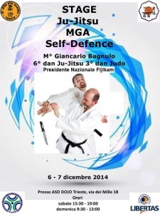 stage ju-jitsu,mga,self defence-1